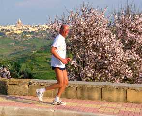 Gozo im Frhling - Panoramalauf zur Zeit der Mandelblte